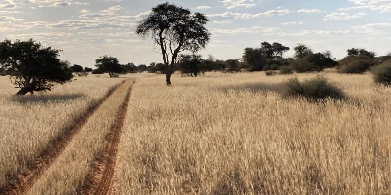 WhatsApp Image 2025-11-27 at 11.55.09